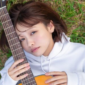 花鸟斗架